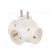 Connector: AC supply | splitter | 2P+PE | white | Output: 4x socket image 2