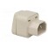 Transition: adapter | 2P+PE | 250VAC | 10A | Type: C13 (F) | white | PIN: 3 image 4