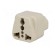 Transition: adapter | 2P+PE | 250VAC | 10A | Type: C13 (F) | white | PIN: 3 image 2