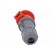 Connector: AC supply 3-phase | socket | female | 32A | 380/415VAC image 5