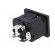 Connector: AC supply | socket | male | 10A | 250VAC | IEC 60320 | UL94V-0 paveikslėlis 6