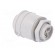 Connector: AC supply | push-in | male | 0.5÷2.5mm2 | 16A | 250V | ways: 3 image 4