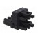 Transition: T adapter | male,female x2 | 770,WINSTA | 25A | 250V | Y image 4