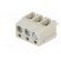 PCB terminal block | angled 90° | 5mm | ways: 3 | on PCBs | 2.5mm2 | 16A image 2