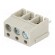PCB terminal block | angled 90° | 5mm | ways: 3 | on PCBs | 2.5mm2 | 16A image 1