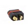 Plug | DC supply | XT60 | female | PIN: 2 | for cable | soldering | black image 4
