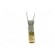 Contact | female | 22AWG÷20AWG | SSL 1.2 | gold-plated | crimped | 5A paveikslėlis 9
