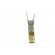 Contact | female | 22AWG÷20AWG | SSL 1.2 | gold-plated | crimped | 5A фото 5