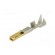 Contact | female | 22AWG÷20AWG | SSL 1.2 | gold-plated | crimped | 5A фото 2