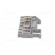 Splice terminal: rail | PT | 32A | 800V | for DIN rail mounting | grey image 3