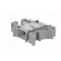 Splice terminal: rail | grey | screw terminal | polyamide | TS32,TS35 image 4