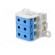 Splice terminal: rail | 50mm2 | ways: 1 | terminals: 6 | blue | STB | TS35 image 2