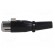 Plug | XLR | female | PIN: 3 | straight | for cable | gold-plated image 3