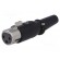 Plug | XLR | female | PIN: 3 | straight | for cable | gold-plated image 1