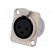 Socket | XLR | female | PIN: 3 | flange (2 holes),for panel mounting фото 1