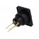 Socket | XLR | female | PIN: 3 | straight | sealed | THT | gold-plated | 5A image 6