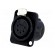 Socket | XLR | female | PIN: 5 | flange (2 holes),for panel mounting paveikslėlis 1