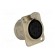 Socket | XLR | female | PIN: 5 | flange (2 holes),for panel mounting image 8