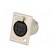 Socket | XLR | female | PIN: 5 | flange (2 holes),for panel mounting image 2