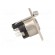 Socket | XLR | female | PIN: 5 | straight | soldering | silver plated | 50V image 7