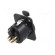 Socket | XLR | female | PIN: 5 | with push button | soldering | black image 6