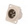 Socket | XLR | male | PIN: 3 | flange (2 holes),for panel mounting image 1