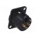 Socket | XLR | male | PIN: 3 | flange (2 holes),for panel mounting image 4