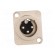 Socket | XLR | male | PIN: 3 | flange (2 holes),for panel mounting фото 9