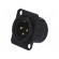 Socket | XLR | male | PIN: 3 | flange (2 holes),for panel mounting image 2