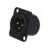 Socket | XLR | male | PIN: 3 | flange (2 holes),for panel mounting image 1