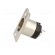 Socket | XLR | male | PIN: 3 | straight | soldering | Contacts: brass | 50V фото 3