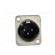 Socket | XLR | male | PIN: 3 | straight | soldering | silver plated | 50V image 9