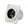 Socket | XLR | male | PIN: 4 | flange (2 holes),for panel mounting paveikslėlis 1