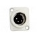 Socket | XLR | male | PIN: 4 | flange (2 holes),for panel mounting paveikslėlis 9