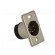 Socket | XLR | male | PIN: 5 | straight | soldering | Contacts: brass | 50V paveikslėlis 8