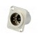 Socket | XLR | male | PIN: 5 | flange (2 holes),for panel mounting image 1