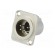 Socket | XLR | male | PIN: 5 | flange (2 holes),for panel mounting image 2