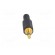 Plug | Jack 3,5mm | male | mono,with strain relief | ways: 2 | straight image 9