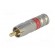 Plug | RCA | male | compression | Cable: RG59 | 75Ω | 3GHz paveikslėlis 2
