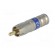Plug | RCA | male | compression | Cable: RG6 | 75Ω | 3GHz paveikslėlis 2