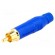Plug | RCA | male | straight | soldering | blue | gold-plated | for cable image 1