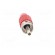 Plug | RCA | male | straight | soldered | red | brass | Enclos.mat: acetal фото 9