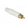 Plug | RCA | male | straight | soldering | white | gold-plated | for cable paveikslėlis 8