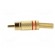 Plug | RCA | male | with strain relief | straight | soldering paveikslėlis 3