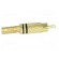 Plug | RCA | male | with strain relief | straight | soldering | 5mm image 7