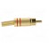 Plug | RCA | male | with strain relief | straight | soldering image 7