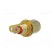 Socket | RCA | female | gold-plated | for panel mounting | Marker: red image 6