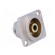 Socket | RCA | female | soldering | gold-plated | for panel mounting image 8