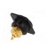 Socket | RCA | female | soldering | gold-plated | Marker: black фото 6
