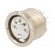 Socket | DIN | female | PIN: 5 | Layout: 180° | THT | 34V | 2A | silver plated image 1